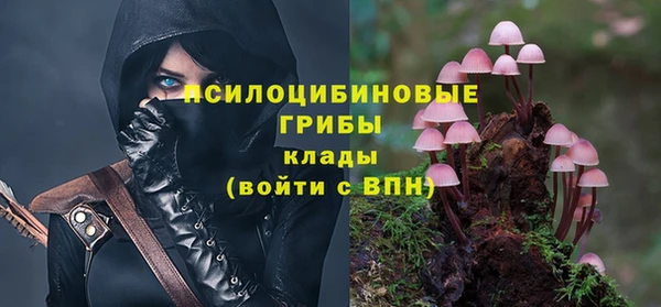 2c-b Алзамай