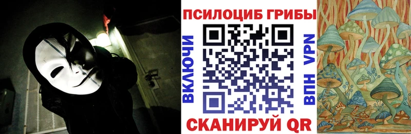 Галлюциногенные грибы Cubensis Заводоуковск