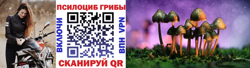 наркошоп  Заводоуковск  Псилоцибиновые грибы Cubensis 