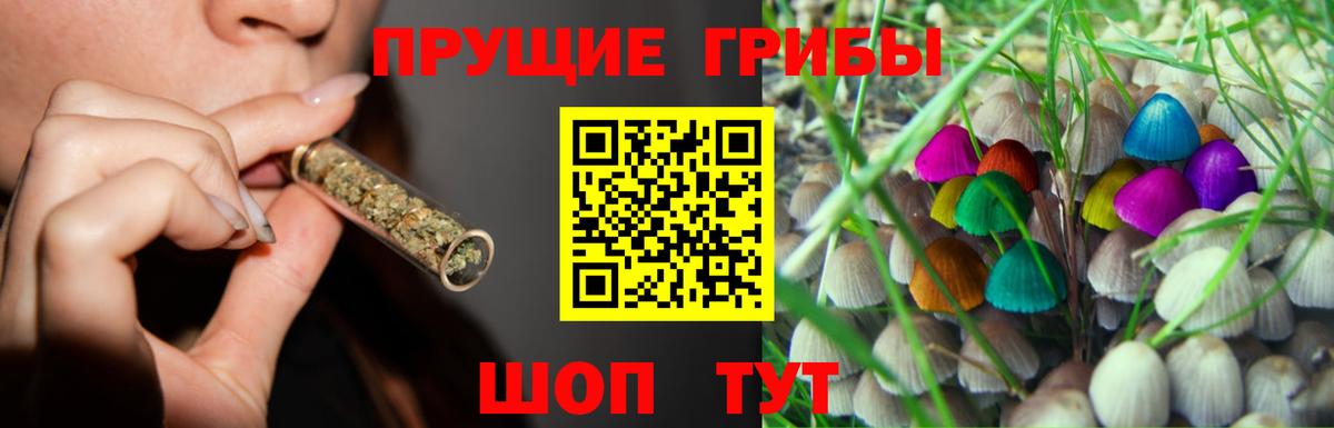 Псилоцибиновые грибы GOLDEN TEACHER  Псилоцибиновые грибы прущие грибы  Заводоуковск  Вход с VPN 