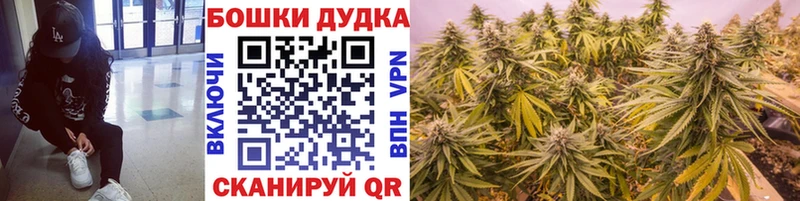 закладки  Заводоуковск  Канабис SATIVA & INDICA 