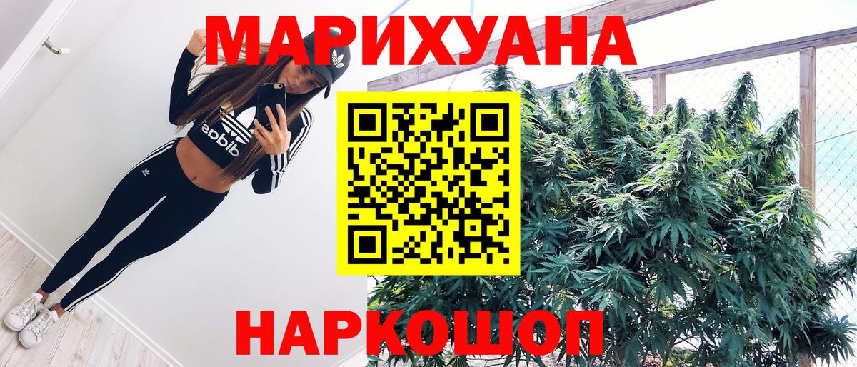 МАРИХУАНА план  Конопля SATIVA & INDICA  Заводоуковск  Вход с VPN 